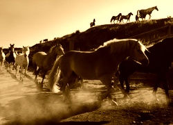 Sepia