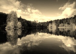 Sepia