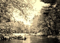 Szary + Sepia