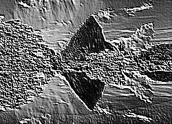 Skamielina