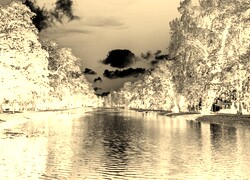Sepia + Negatyw