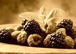 Sepia