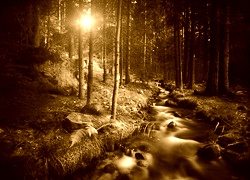 Sepia