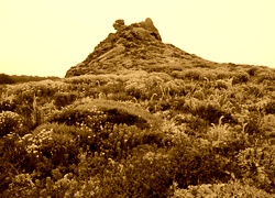 Sepia