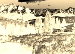Sepia + Negatyw
