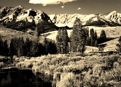 Sepia