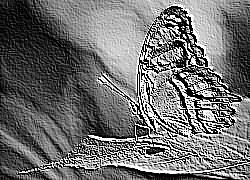 Skamielina