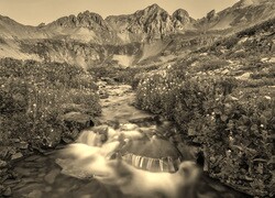 Sepia