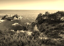 Szary + Sepia