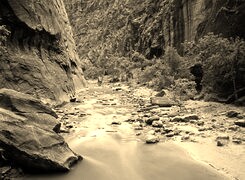 Szary + Sepia