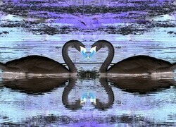 Negatyw