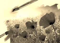 Szary + Sepia