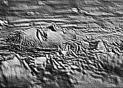 Skamielina