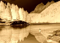 Sepia + Negatyw