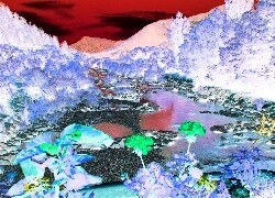 Negatyw