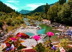 Oryginalny obrazek