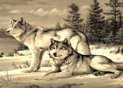 Szary + Sepia