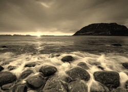 Szary + Sepia
