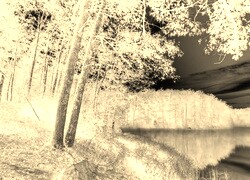 Sepia + Negatyw
