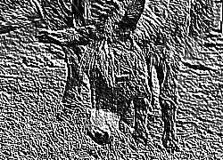 Skamielina