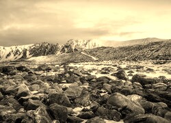 Szary + Sepia