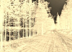 Sepia + Negatyw