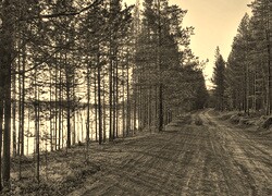 Sepia