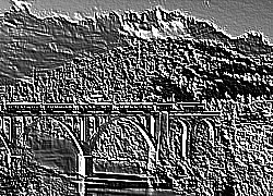 Skamielina