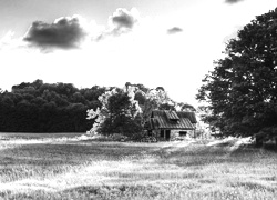 Szary + Sepia