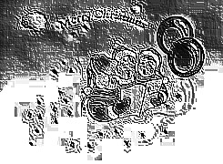Skamielina