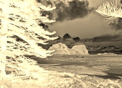Sepia + Negatyw