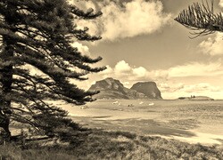 Szary + Sepia
