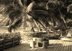 Szary + Sepia