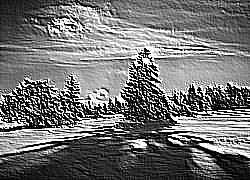 Skamielina