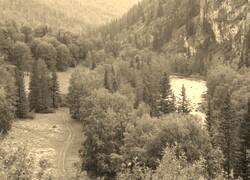 Szary + Sepia
