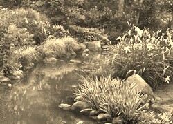 Szary + Sepia