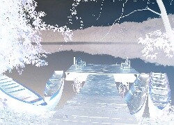 Negatyw