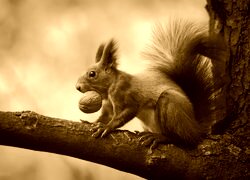 Sepia