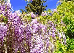 Oryginalny obrazek