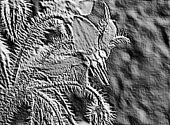 Skamielina