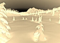 Sepia + Negatyw