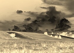 Sepia + Negatyw