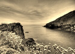 Szary + Sepia