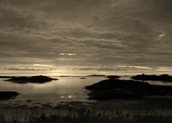 Szary + Sepia