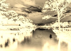 Sepia + Negatyw