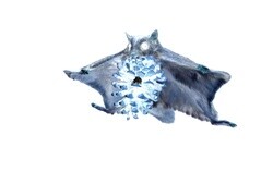 Negatyw