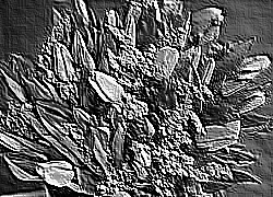 Skamielina