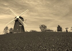 Szary + Sepia
