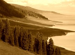 Sepia