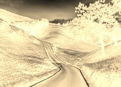 Sepia + Negatyw